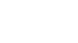 Logo Romulus Digital